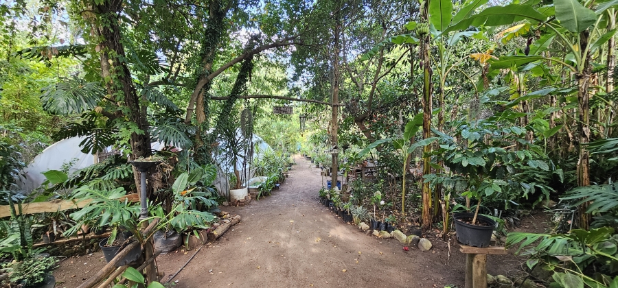 5 Bedroom Property for Sale in Swellendam Western Cape